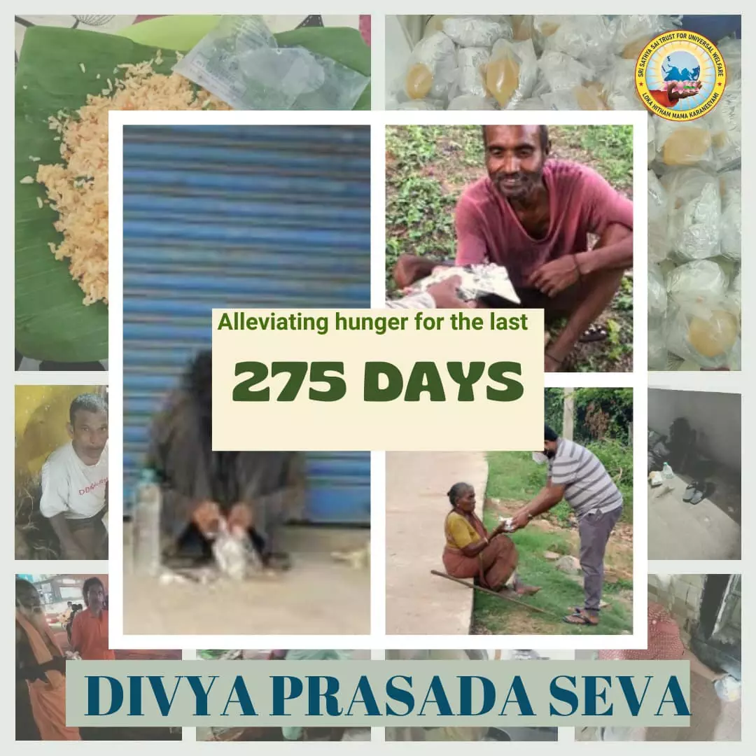 275 Days of Divya Prasada Seva