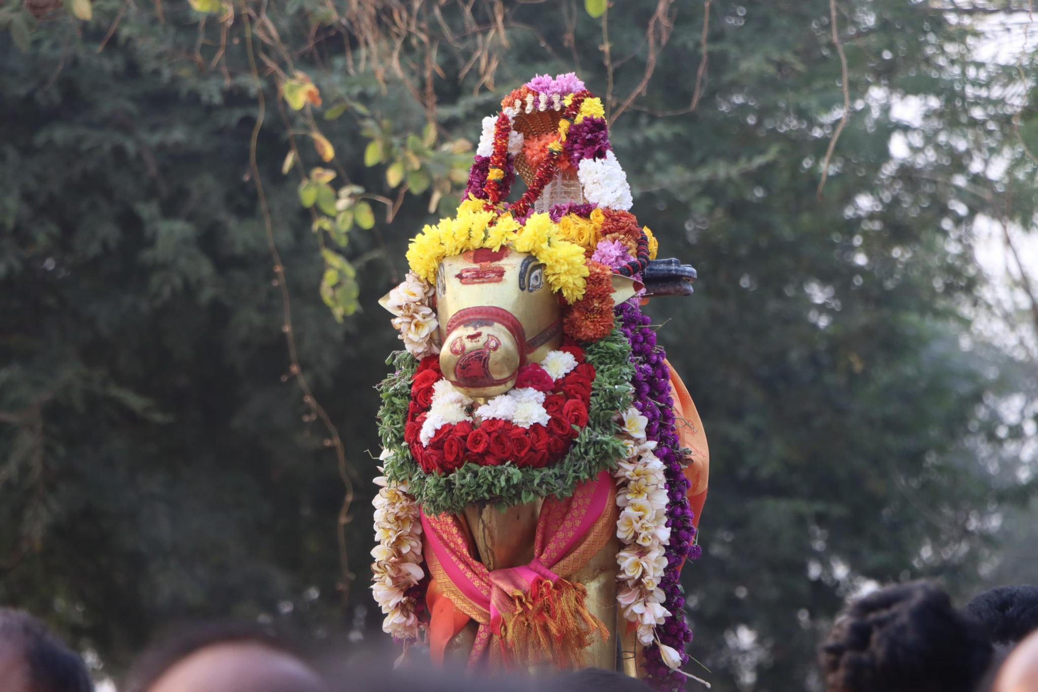 Pallaki Seva of Sri Sai Mruthyumjaya Lingam — Shivaamritam 2026