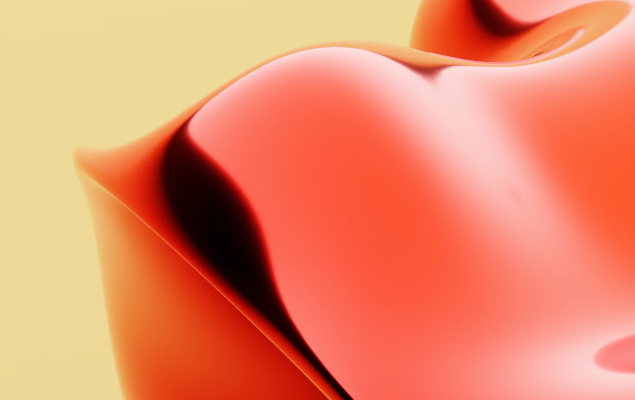 Day 3: Commencement of Blanket Distribution Drive (Sri Sathya Sai Sparsha)